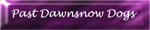 Past Dawnsnow Dogs