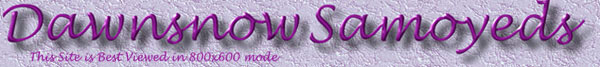 dawnsnow1.jpg (35740 bytes)