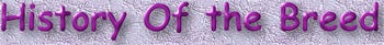 hhistory.jpg (19562 bytes)
