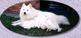 family.jpg (34660 bytes)